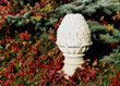 Plants: image 13 0f 16 thumb